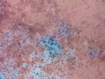 Pink fields meet the light, blue mist holds the heavy field, grit marks the finish