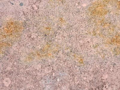 Pink fields meet the light, faded skin holds the surface, grit marks the finish