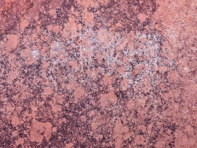 Pink grit claims the field, dark paths trace the heavy skin, time marks the surface