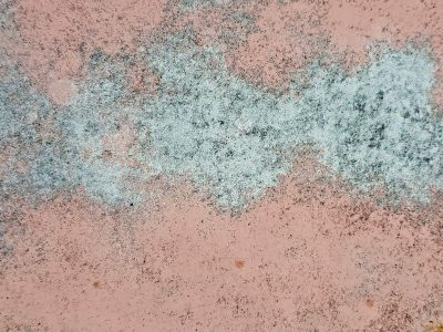 Pink layers lift up, white mist claims the heavy core, years leave a deep trace