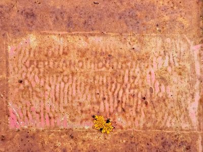 Pink paint fades away, orange rust eats through the steel, yellow lichen clings