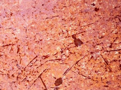 Red clay holds the heat, deep scars cross the pitted stone, ancient dust remains