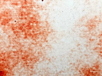 Red dust on white pulp, fibers catch the crimson stain, texture of the page