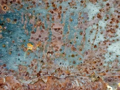 Red skin has jagged marks, deep gouges trace the field, light holds the pattern