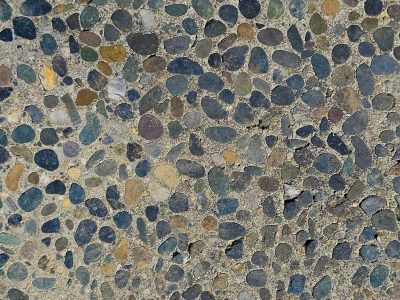 Rough skin holds the light, grey grains meet the heavy field, weather wears the line