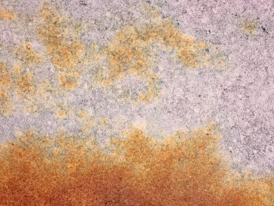 Rust blooms on the plate, orange meets a faded grey, time etches the steel