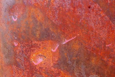 Rust consumes the sheet, pink streaks mark the weathered skin, iron turns to dust