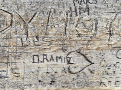 Tan grain carves the path, deep ridges trace the heavy wood, light marks the skin