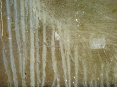 Tan strips flow downward, vertical lines trace skin, light holds the pattern