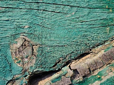 Teal skin cracks and curls, deep grain shows through ancient scars, wood holds on to time