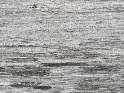 Weathered silver grain, deep lines carved by wind and rain, ancient wood remains