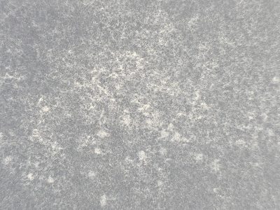 White frost grips the grey, crystalline dust scatters wide, winter's cold touch stays