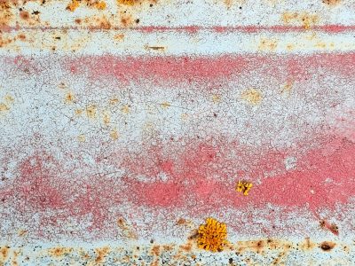 White paint cracks away, red stripe fades under the sun, yellow lichen clings
