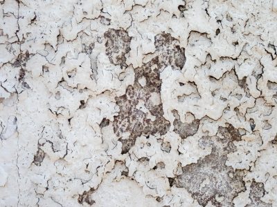 White paint curls away, grey stone hides beneath the crust, time peels back the skin