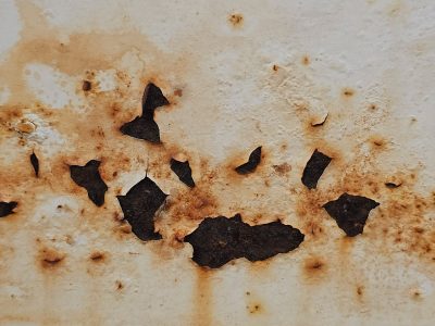 White paint curls away, rust bleeds through the iron skin, dark decay takes root