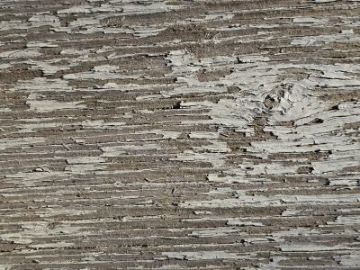 White paint curls away, silver grain reveals the years, weathered wood endures