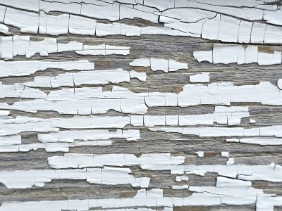 White paint curls away, silver wood grain shows beneath, time flakes off the wall