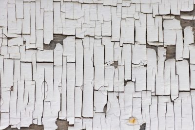 White paint curls away, wood grain waits behind the flakes, time breaks the surface