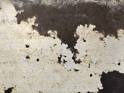 White paint flakes away, dark surface hides underneath, jagged edges bloom