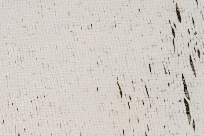 White paint skins the weave, aged threads fray and split apart, dark voids peer through cracks