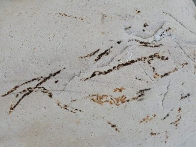 White skin has dark trails, jagged paths trace the stone, light carves the surface