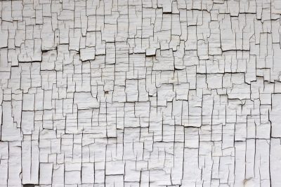 White traces meet the grey, ancient grain holds the surface, time marks the wood