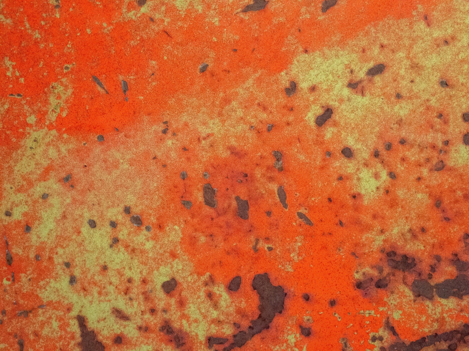 Vivid orange skin, iron breaks through fading paint, metal breathes decay