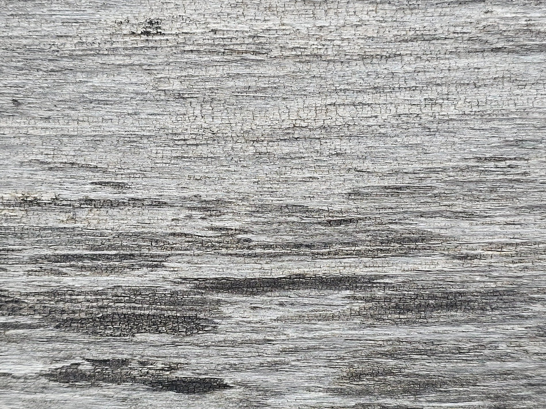 Weathered silver grain, deep lines carved by wind and rain, ancient wood remains