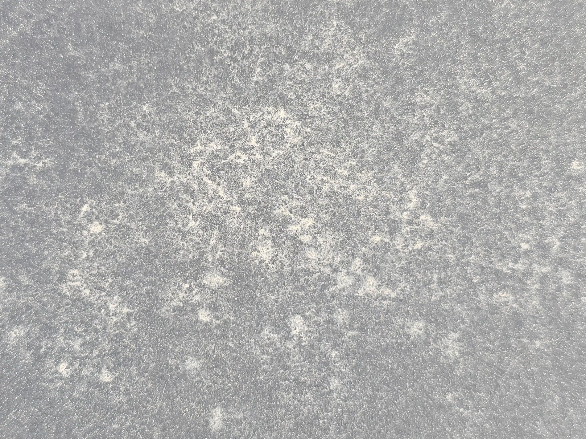 White frost grips the grey, crystalline dust scatters wide, winter's cold touch stays