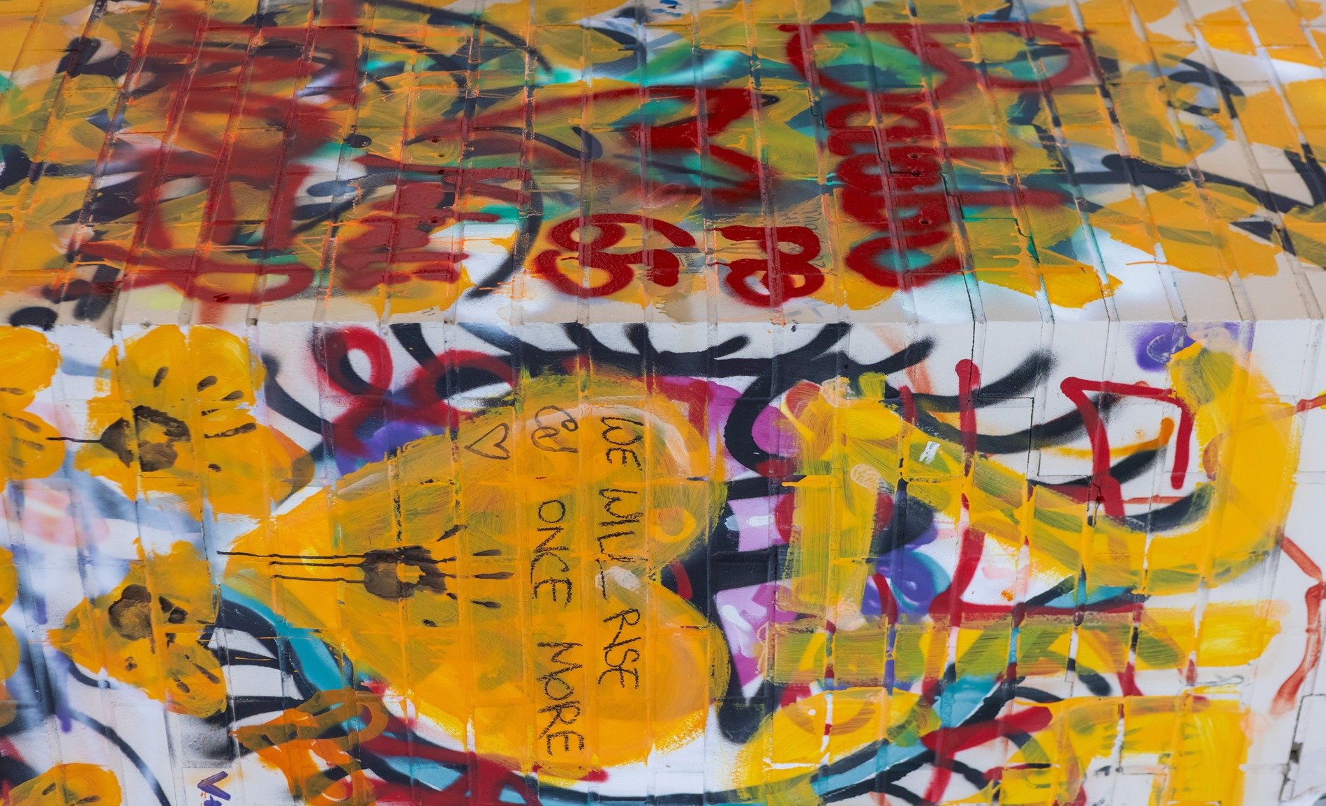 White frost starts to bloom, jagged crystals trace the skin, cold light holds the grit