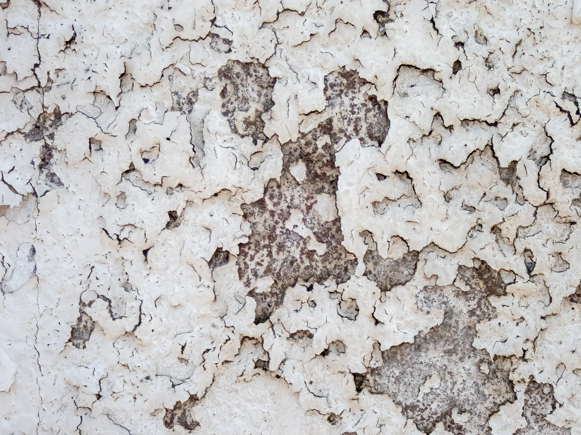 White paint curls away, grey stone hides beneath the crust, time peels back the skin