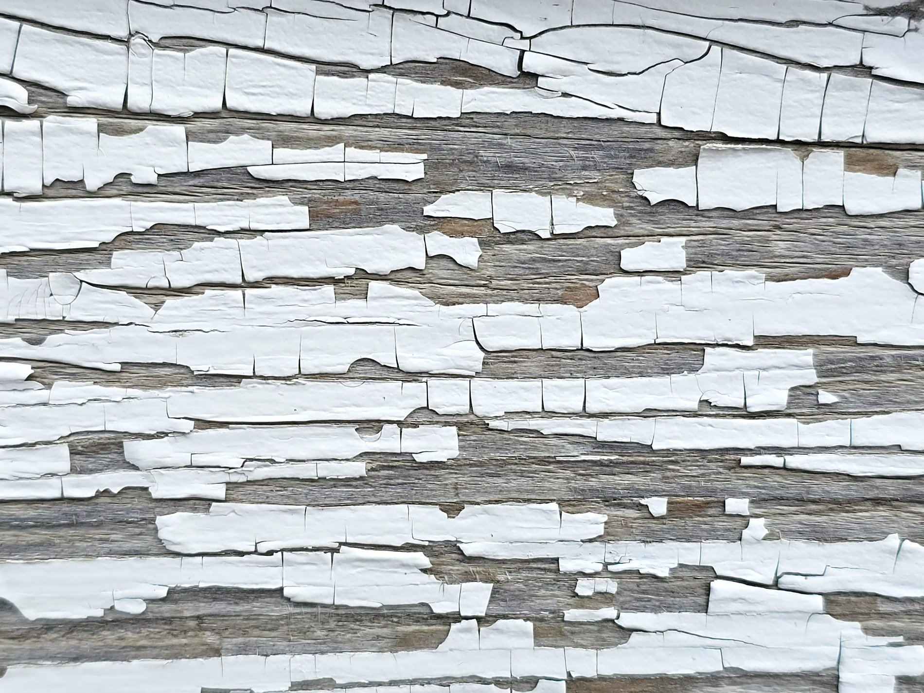 White paint curls away, silver wood grain shows beneath, time flakes off the wall