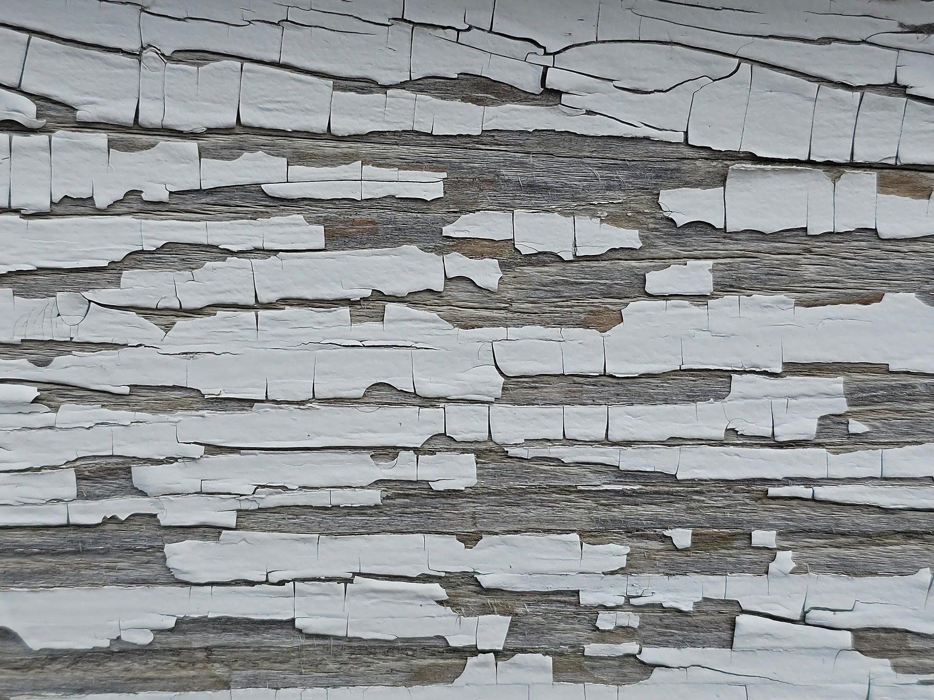 White paint curls away, weathered wood grain shows beneath, time flakes the surface