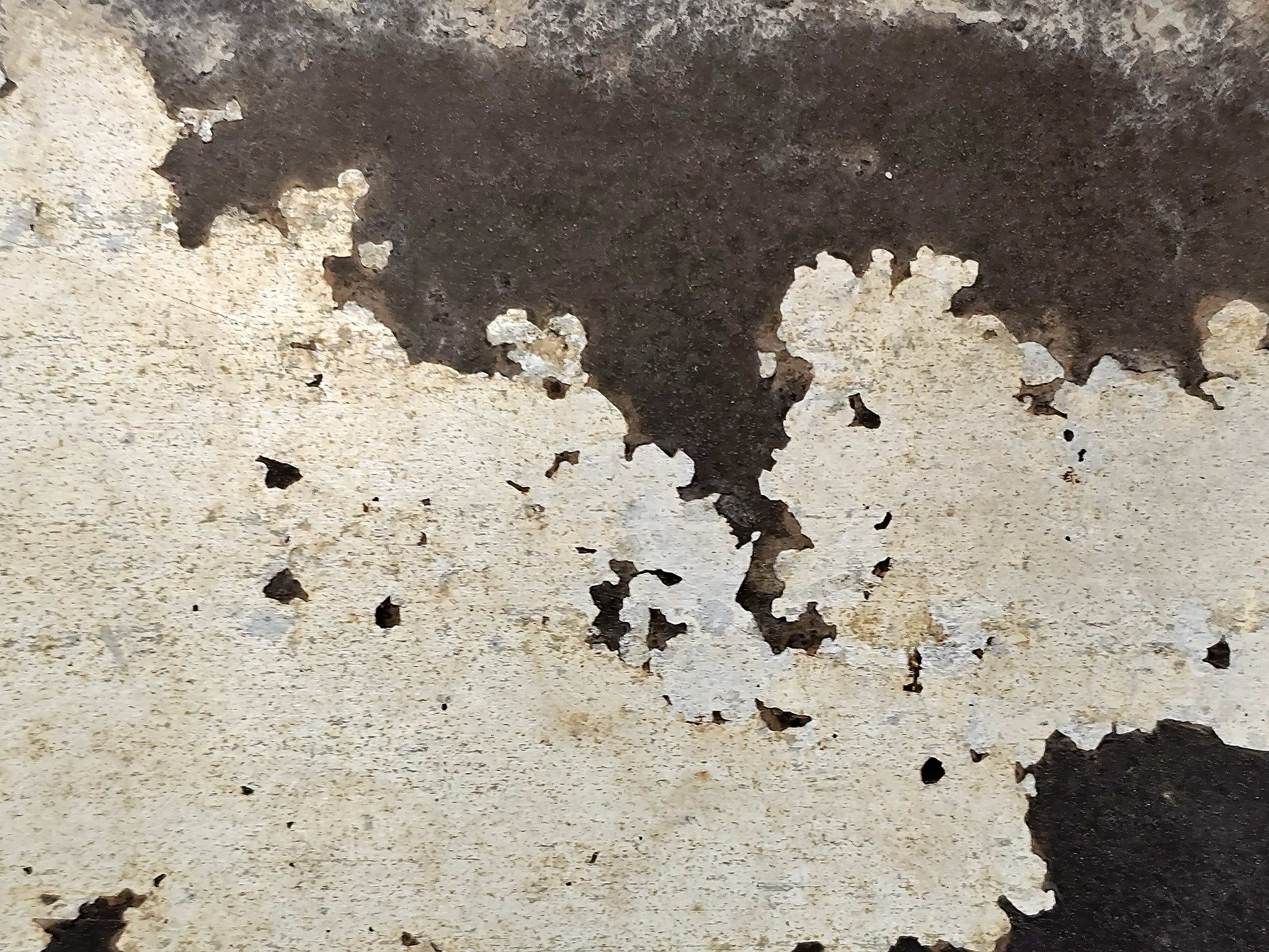 White paint flakes away, dark surface hides underneath, jagged edges bloom