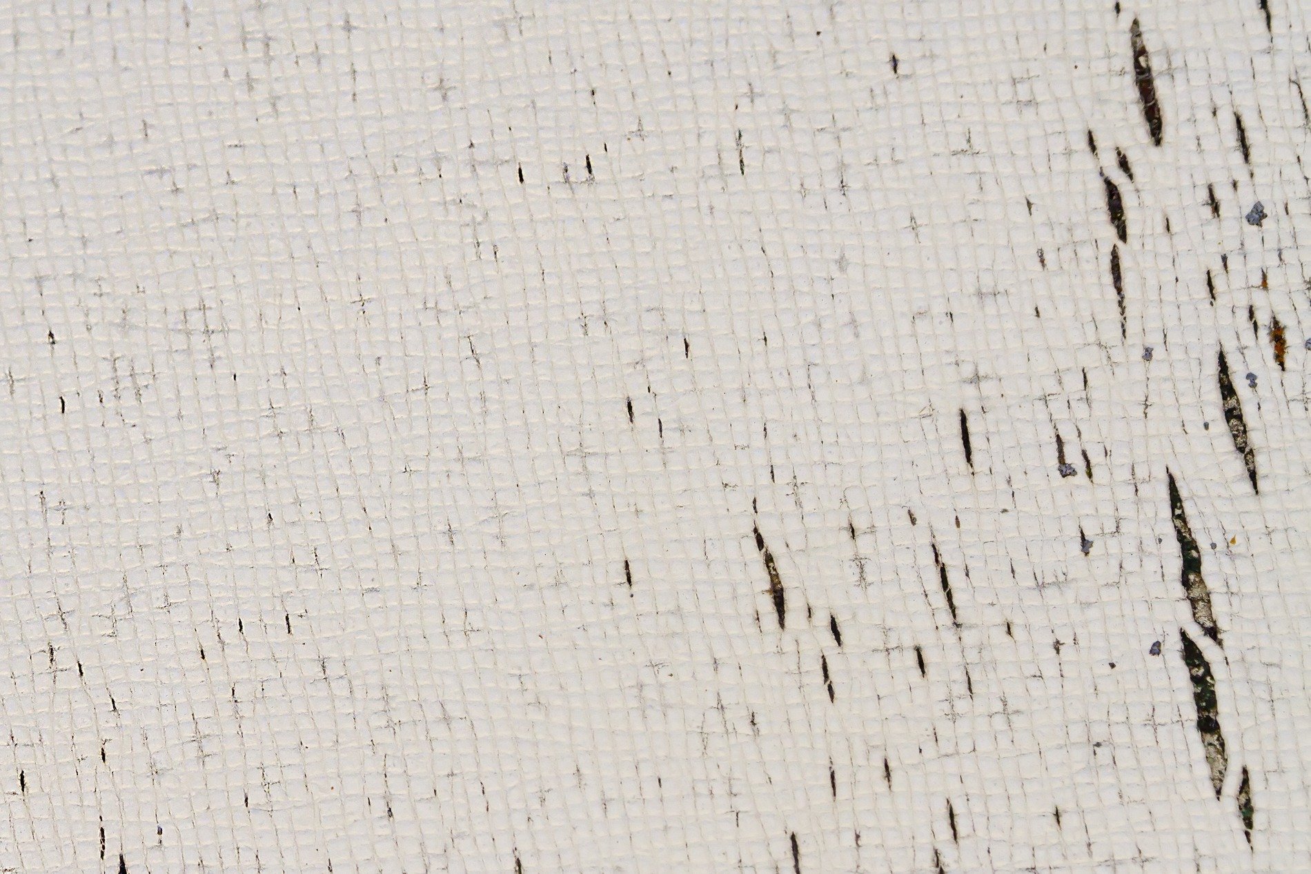 White paint skins the weave, aged threads fray and split apart, dark voids peer through cracks