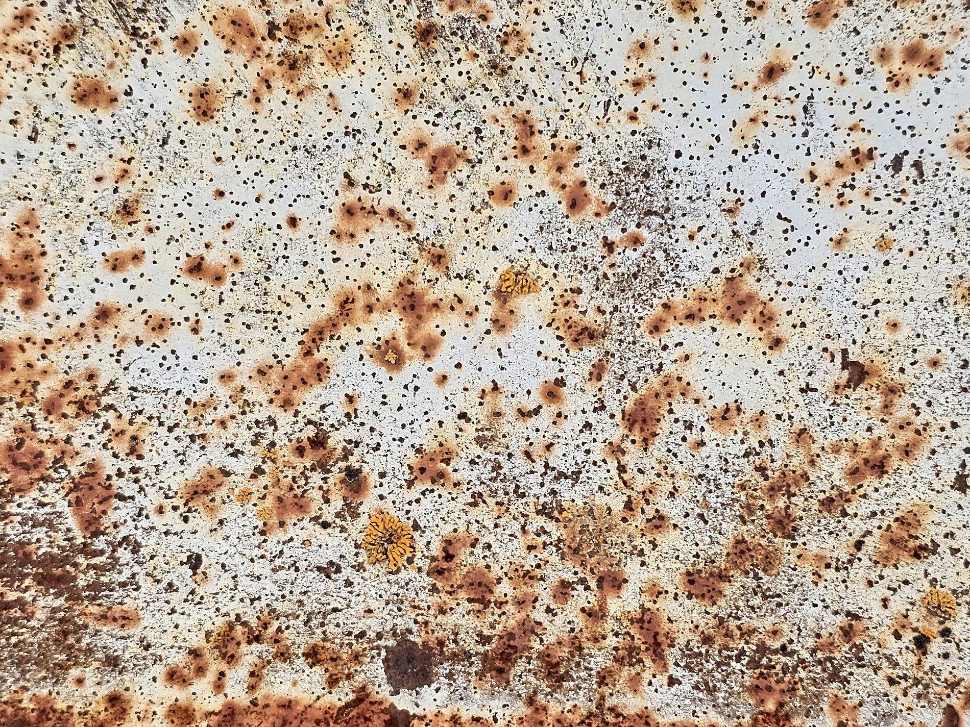 White paint starts to fade, orange rust blooms in small spots, metal shows its age