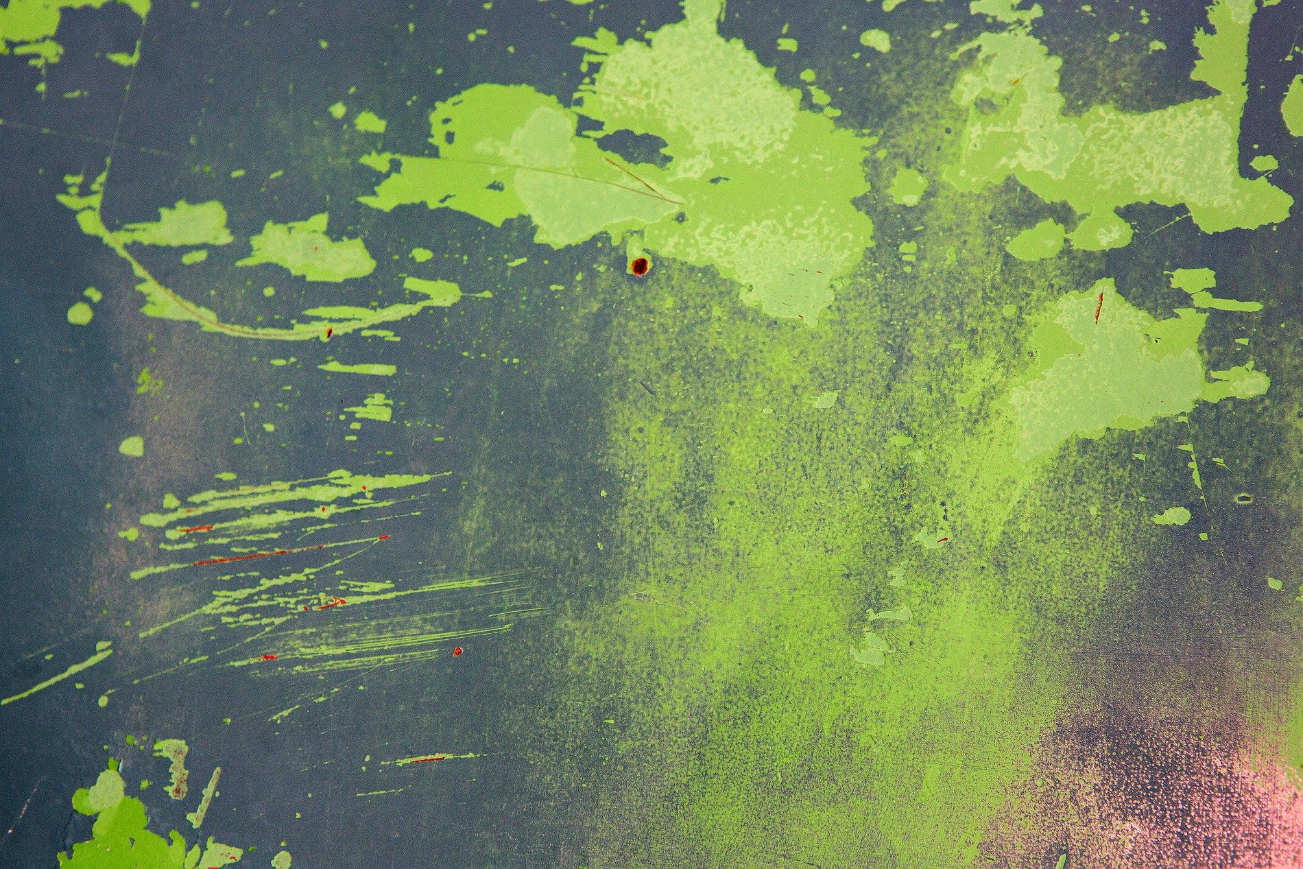 White skin flakes away, orange grit claims the surface, time marks the metal