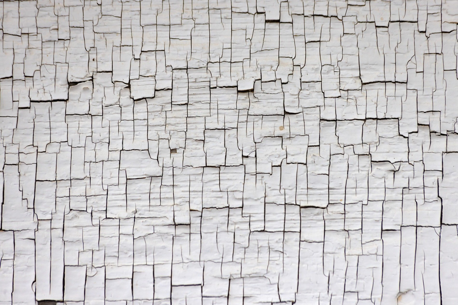 White traces meet the grey, ancient grain holds the surface, time marks the wood