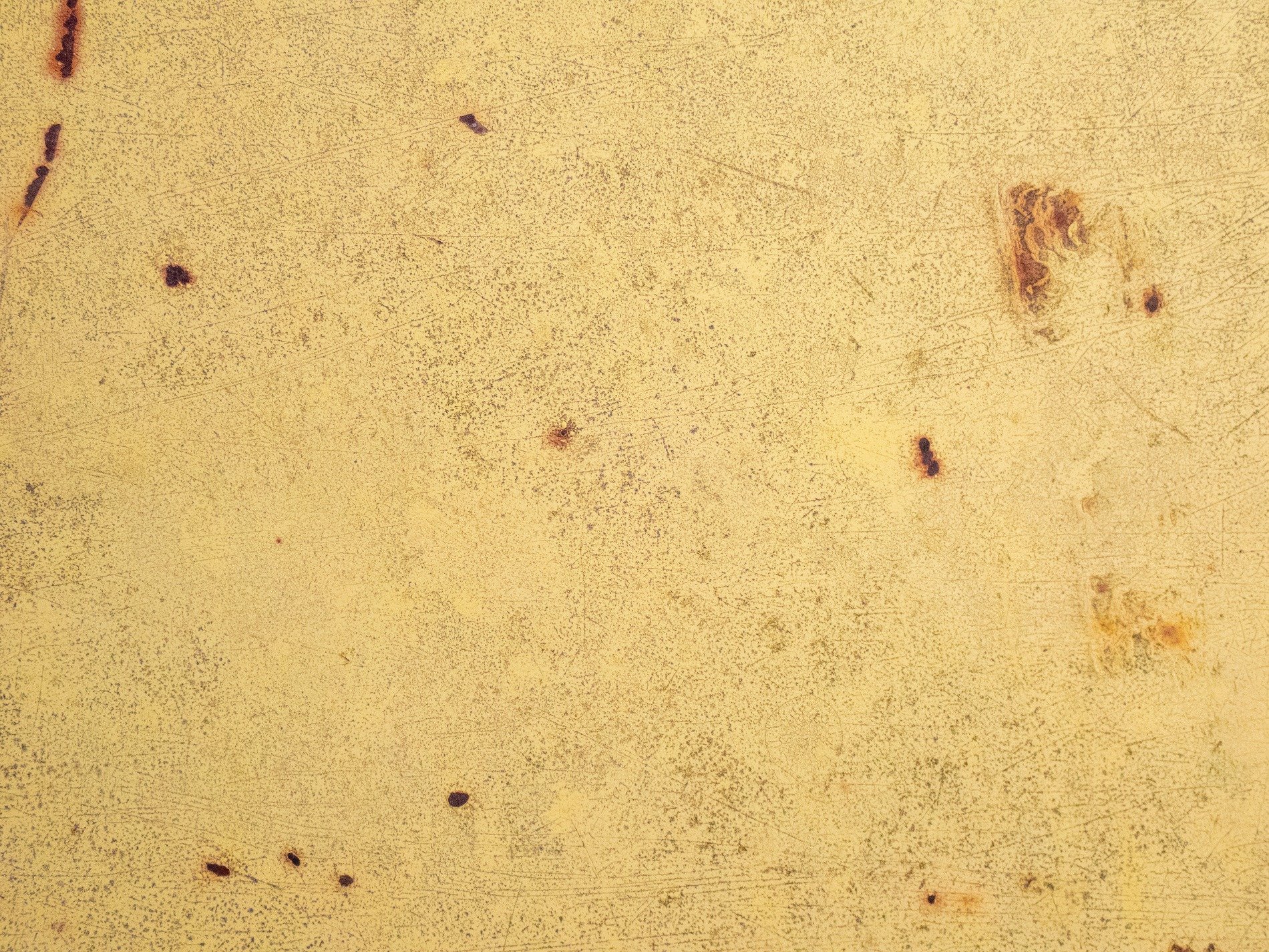 Yellow fields meet light, dark spots trace the heavy skin, grit marks the finish