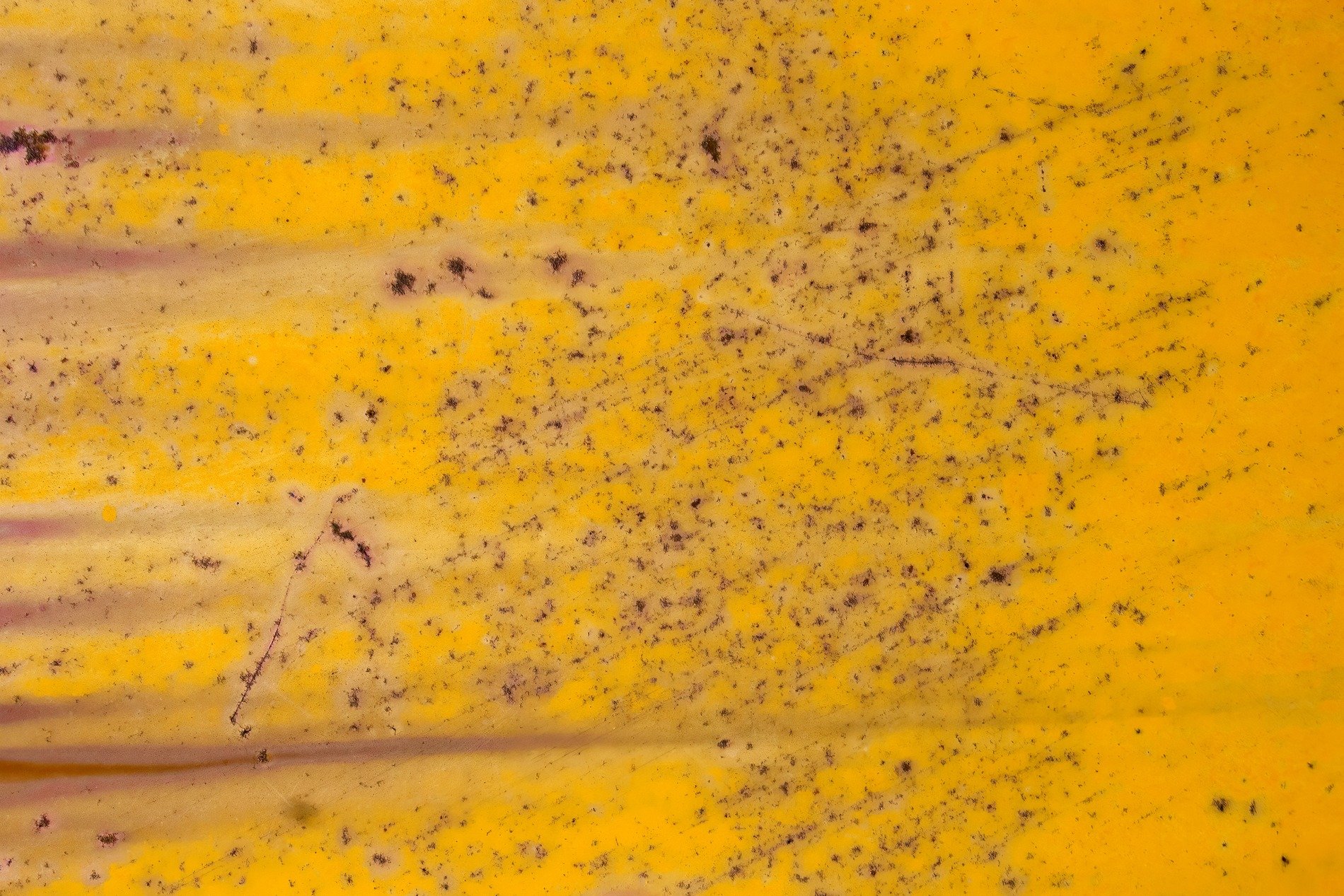 Yellow fields meet the dark, speckled paths trace the surface, time marks the metal