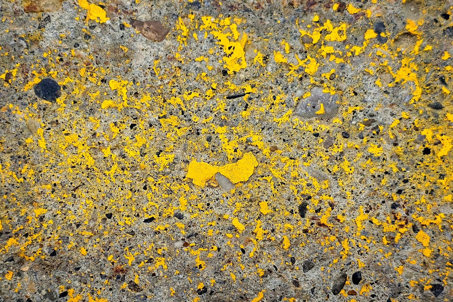 Yellow skin flakes away, jagged grey meets the light, grit marks the finish