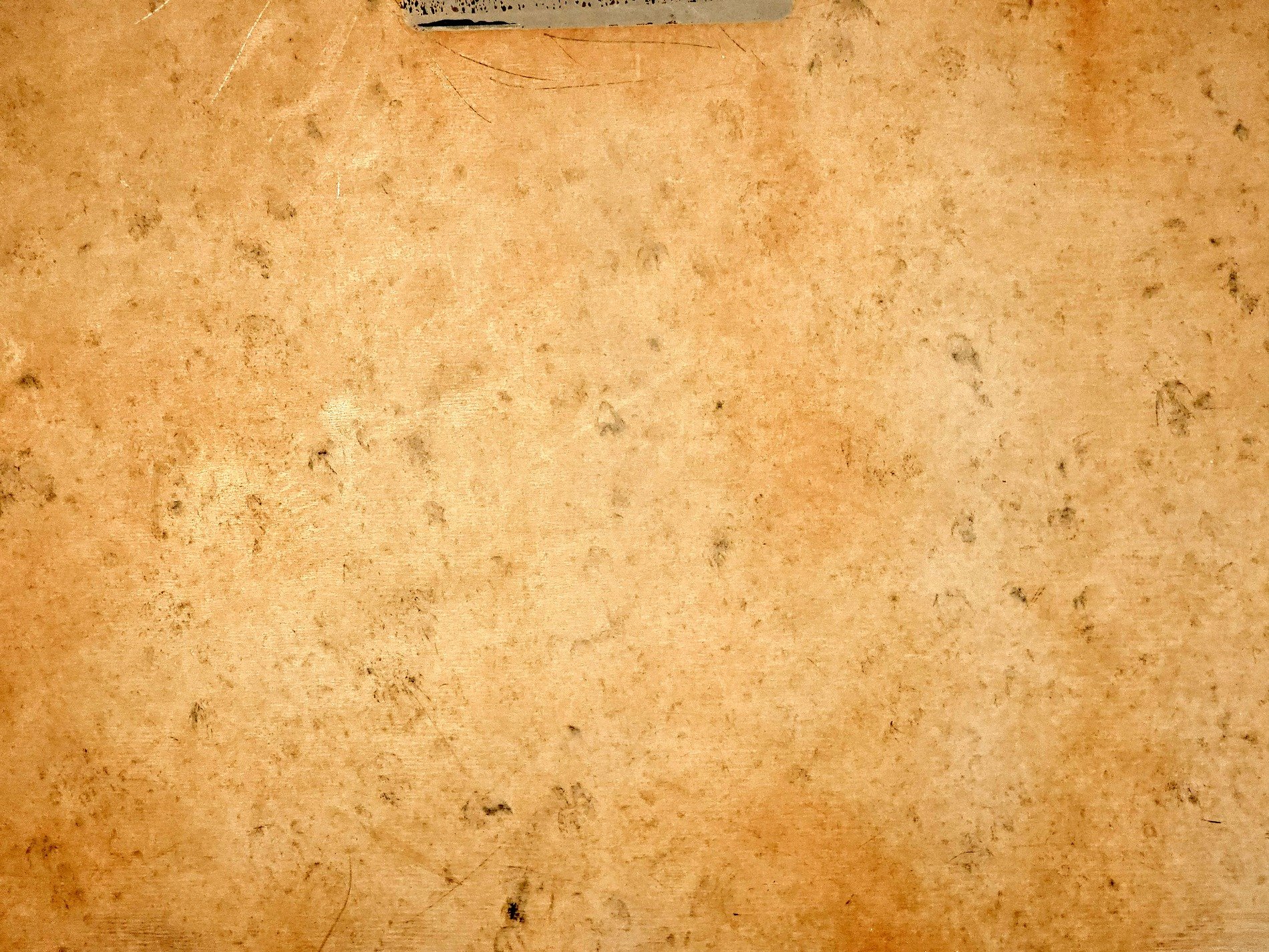 Amber sheet of old, mottled stains tell silent tales, time wears down the page