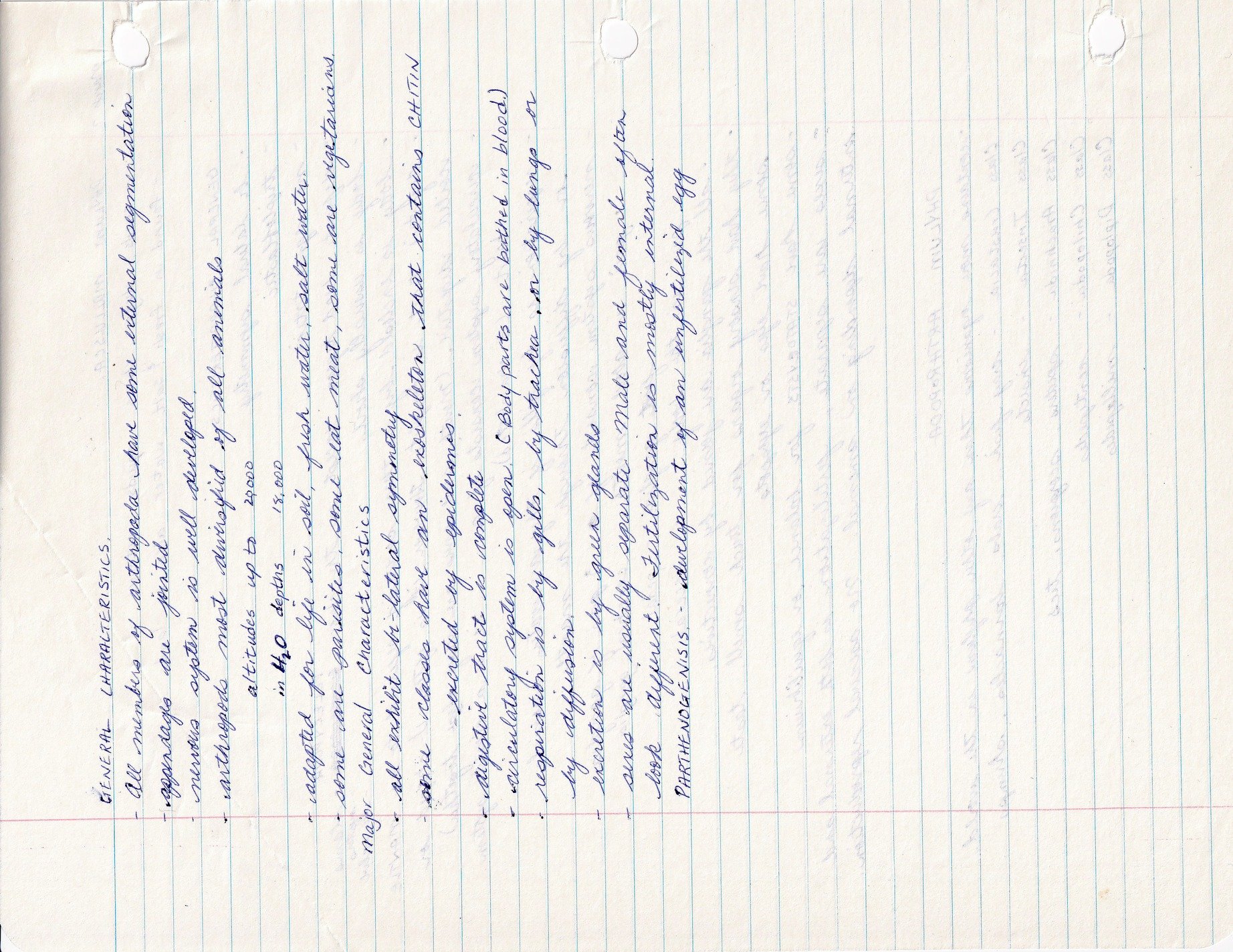 Blue ink on the page, cursive notes on science life, paper holds the past