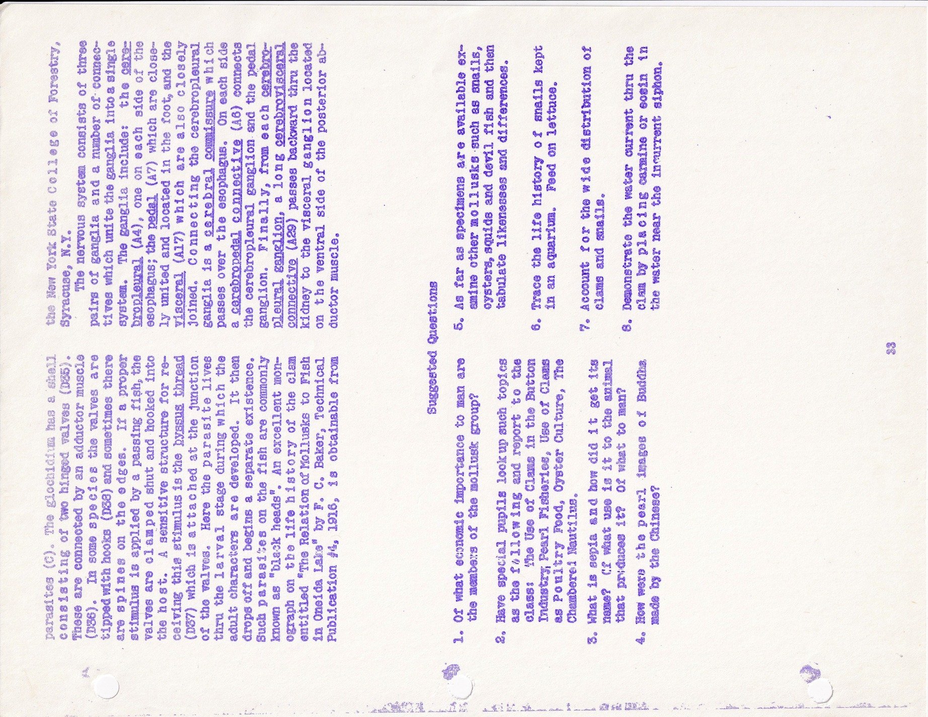 Blue ink on the page, lessons of the mollusks told, paper worn and old