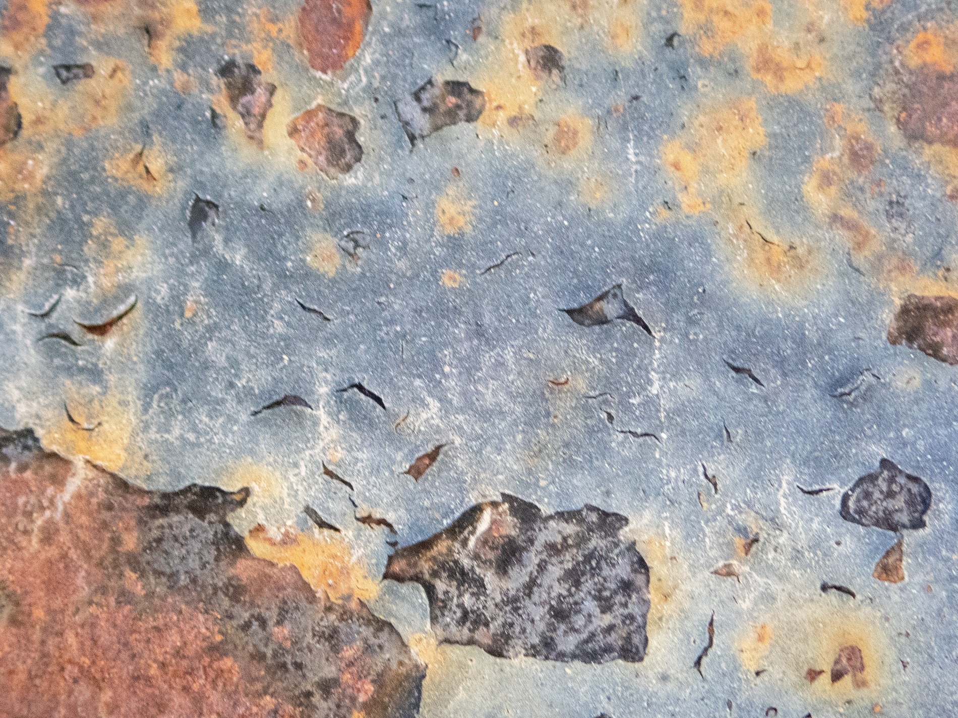 Blue paint flakes away, orange oxidation blooms, metal yields to time