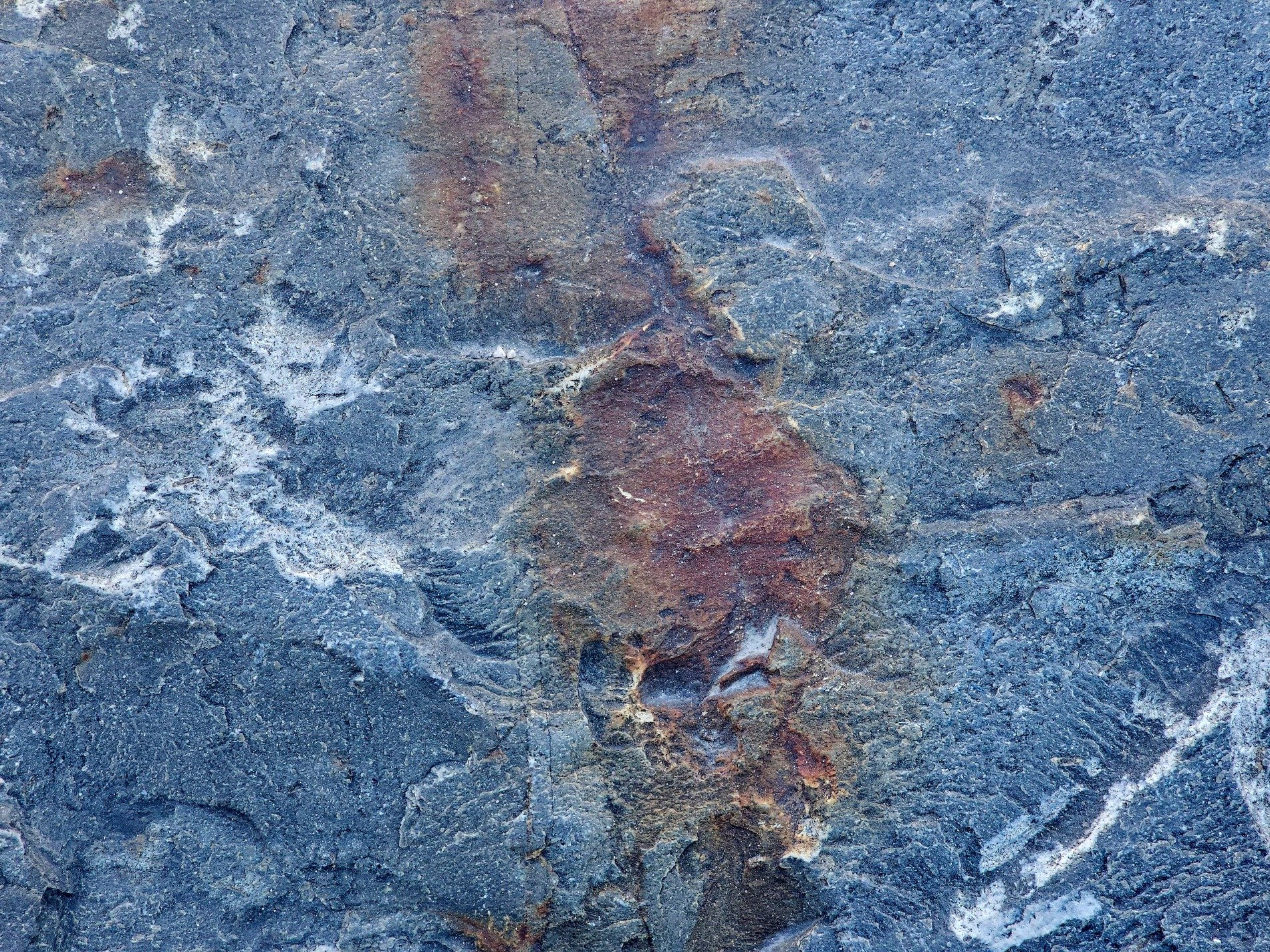 Blue rock meets the rust, frozen rivers of white line, time stains every grain