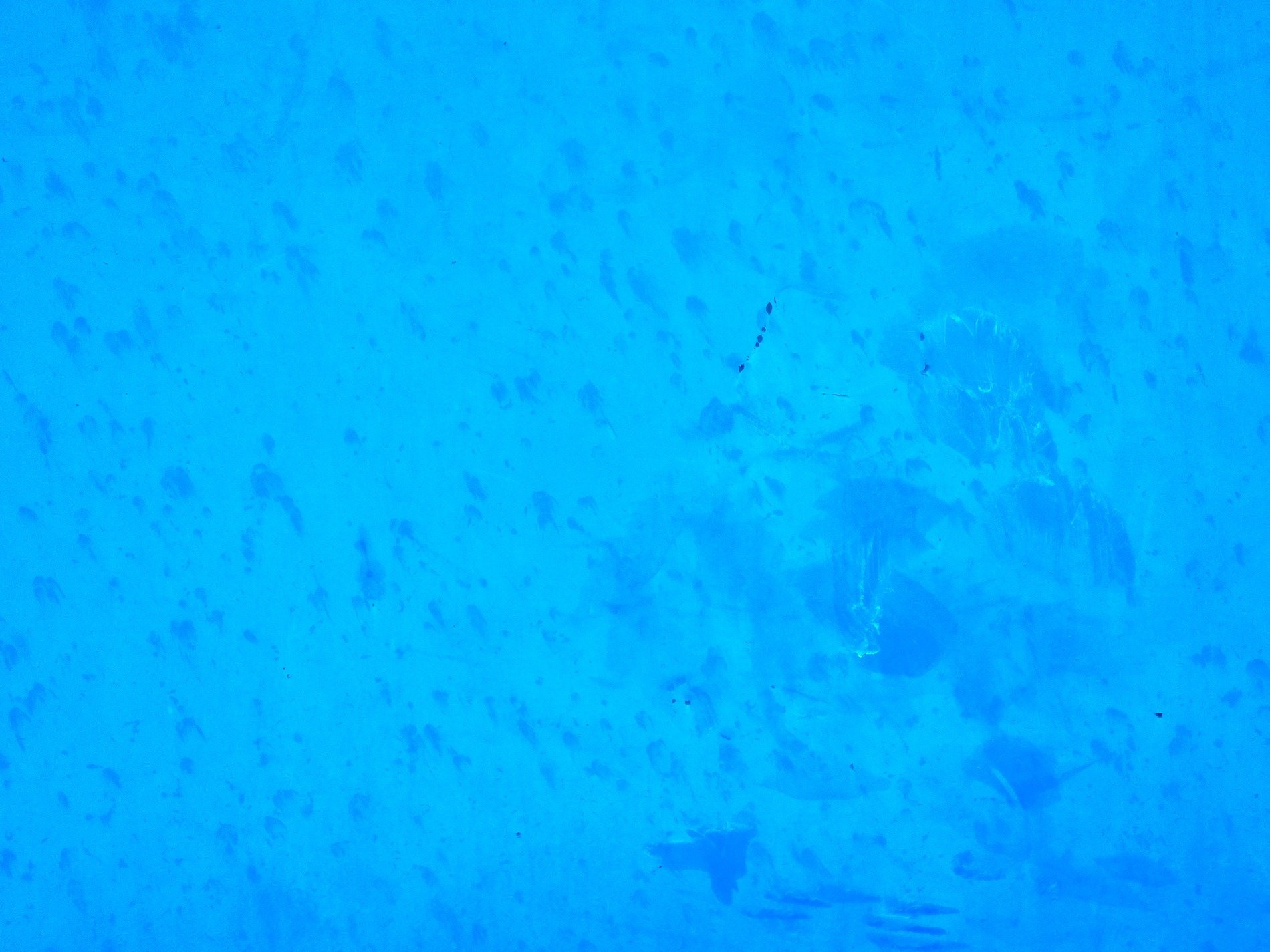 Bright blue field of paint, dark smudges mark the surface, traces of a hand
