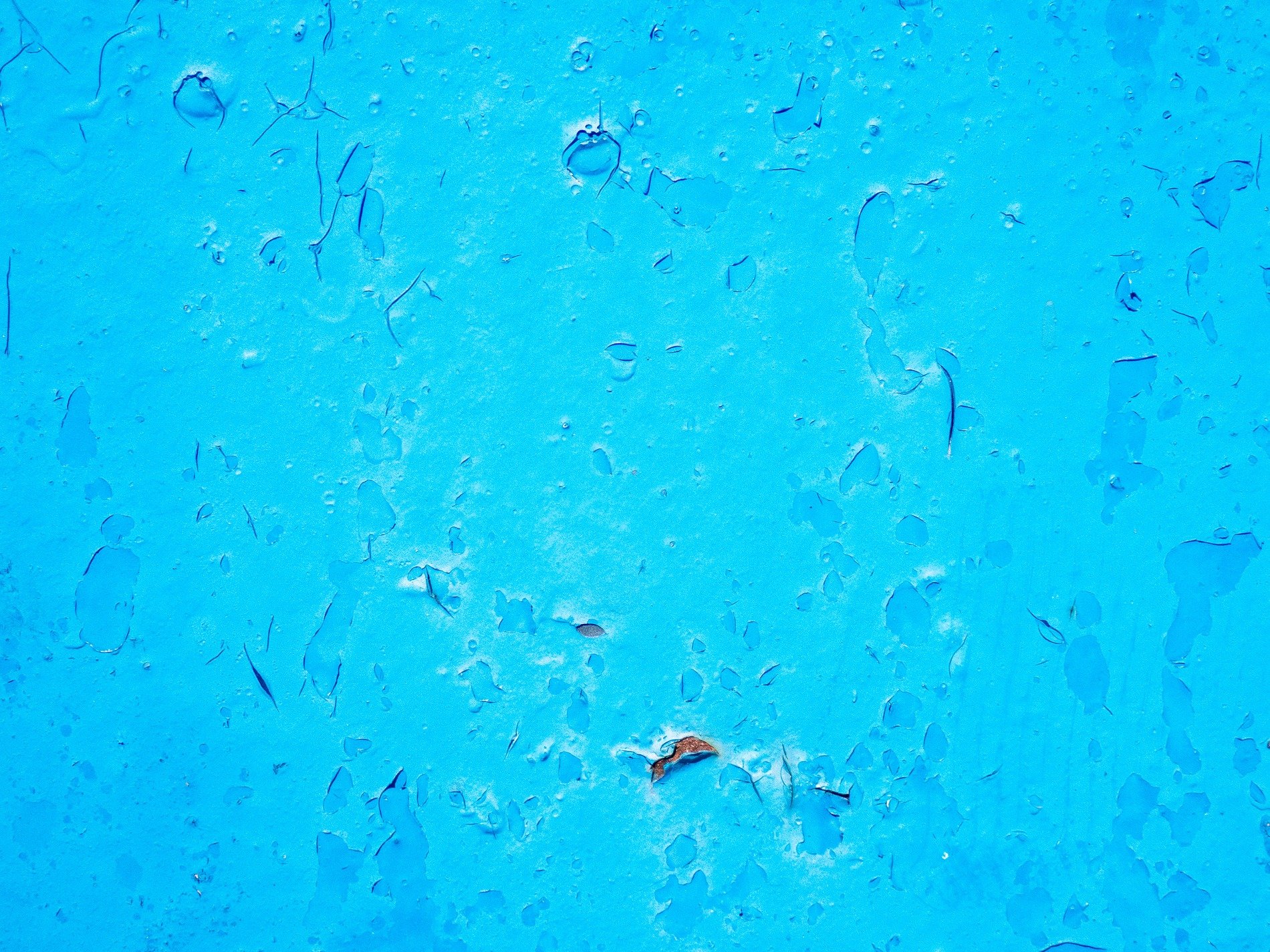 Bright blue paint curls back, rusted metal waits beneath, flakes drift like thin ice