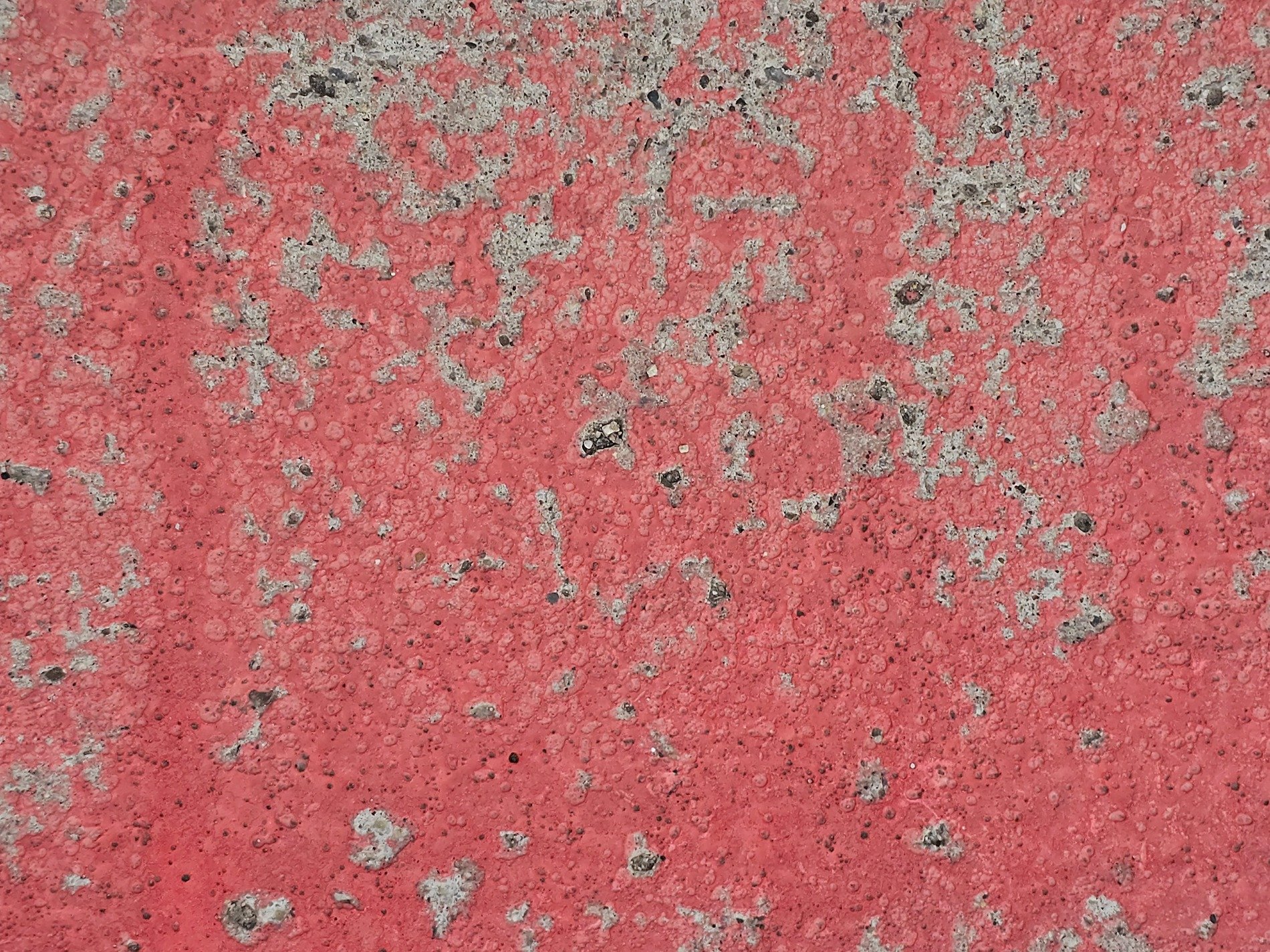 Crimson skin wears thin, rough grey concrete peeks through, time erodes the ground