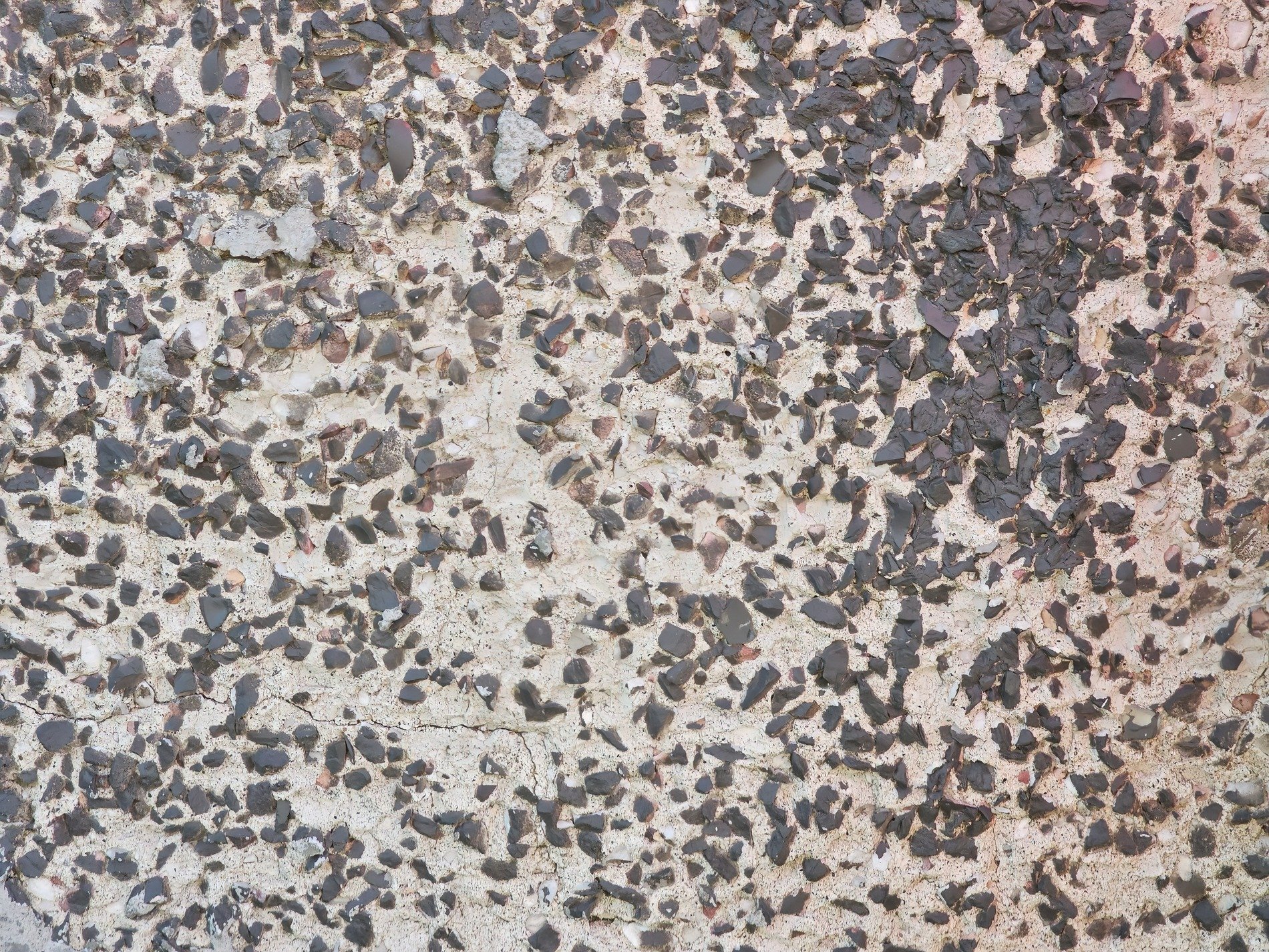 Dark chips biting deep, held within a pale embrace, texture speaks of grit